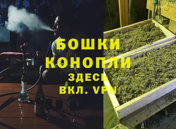 ПСИЛОЦИБИНОВЫЕ ГРИБЫ Балабаново
