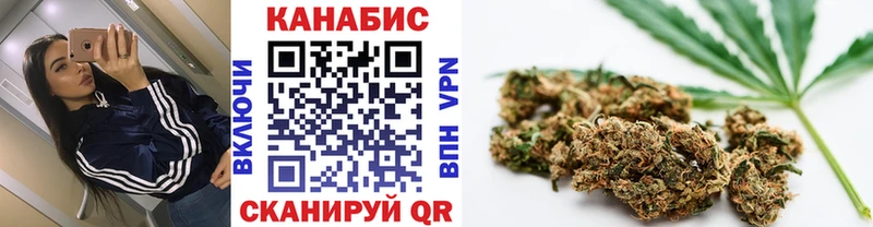 Канабис план  Шебекино 